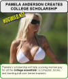 pamela anderson breasts