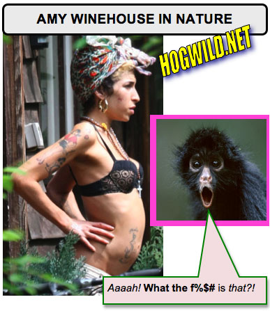 funny myspace pictures: amy winehouse