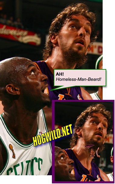 Boston Celtics Funny