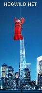 freedom tower