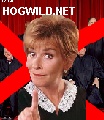 judge judy