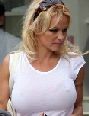 pamela anderson