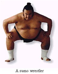 sumo-wrestler.jpg